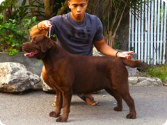 Ellen - Sunshadow Another Wonder