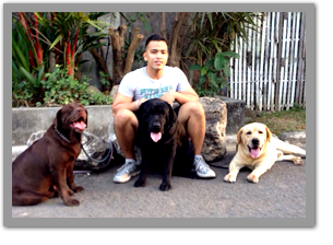 Lambadogs at Lambador Kennel